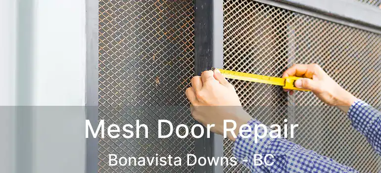  Mesh Door Repair Bonavista Downs - BC
