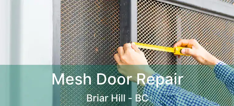  Mesh Door Repair Briar Hill - BC