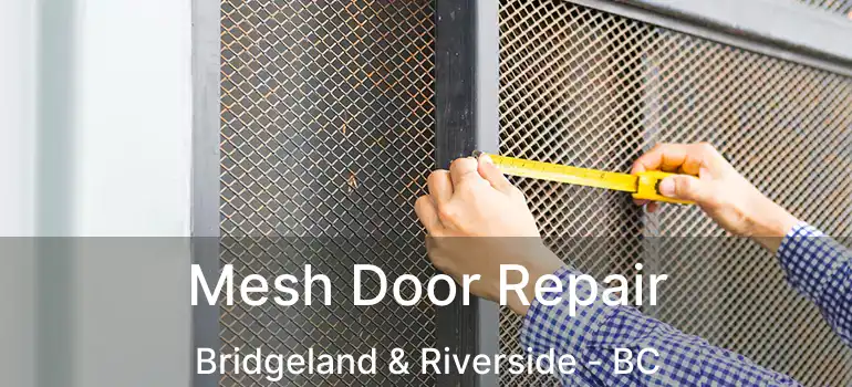  Mesh Door Repair Bridgeland & Riverside - BC