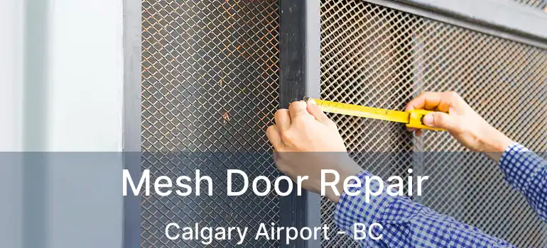  Mesh Door Repair Calgary Airport - BC