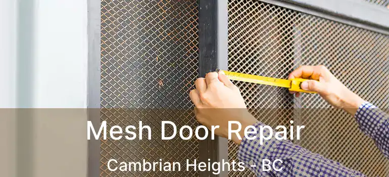  Mesh Door Repair Cambrian Heights - BC