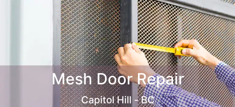  Mesh Door Repair Capitol Hill - BC