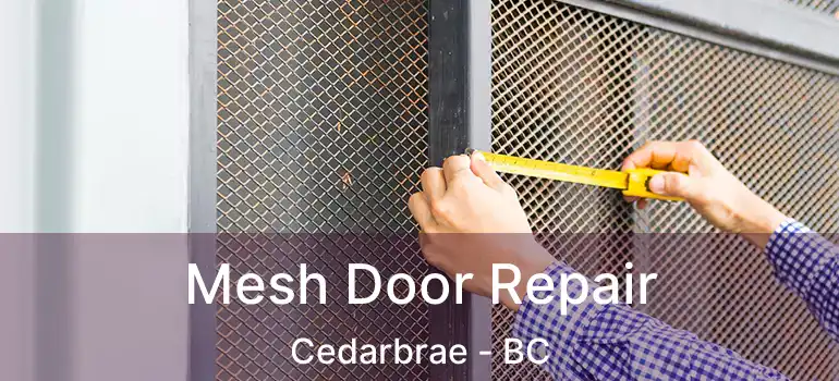  Mesh Door Repair Cedarbrae - BC