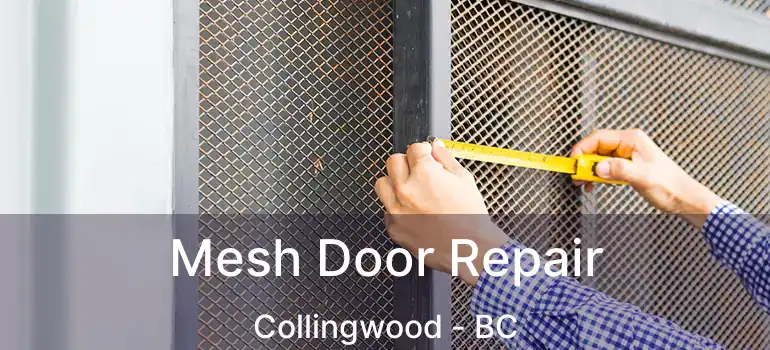  Mesh Door Repair Collingwood - BC