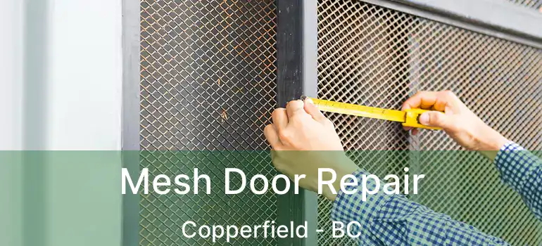  Mesh Door Repair Copperfield - BC
