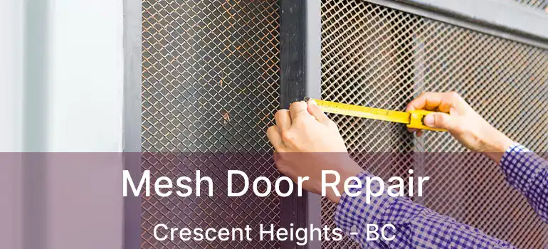  Mesh Door Repair Crescent Heights - BC