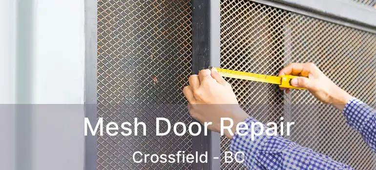  Mesh Door Repair Crossfield - BC