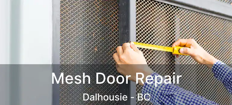  Mesh Door Repair Dalhousie - BC
