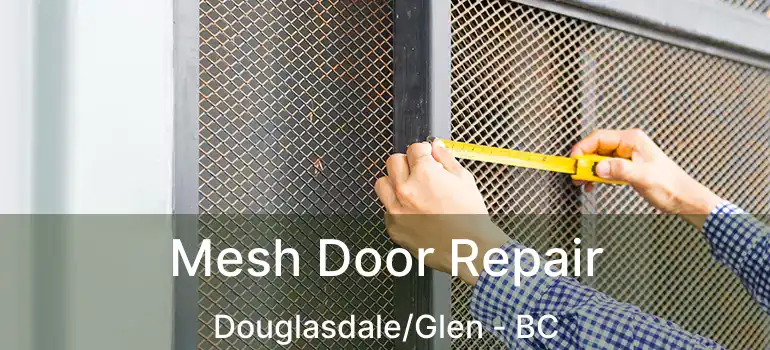  Mesh Door Repair Douglasdale/Glen - BC