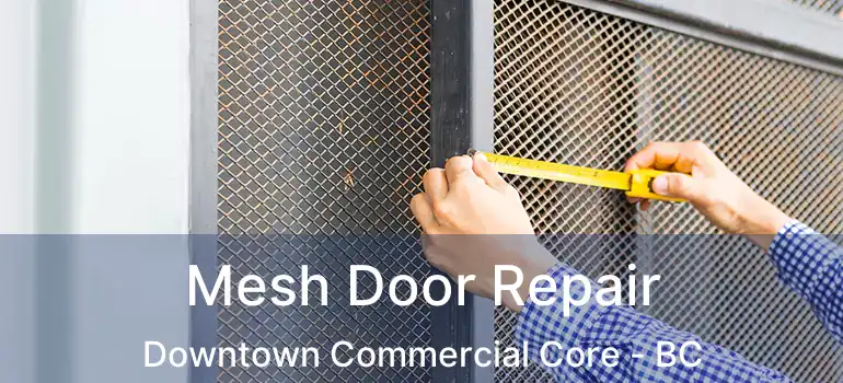  Mesh Door Repair Downtown Commercial Core - BC