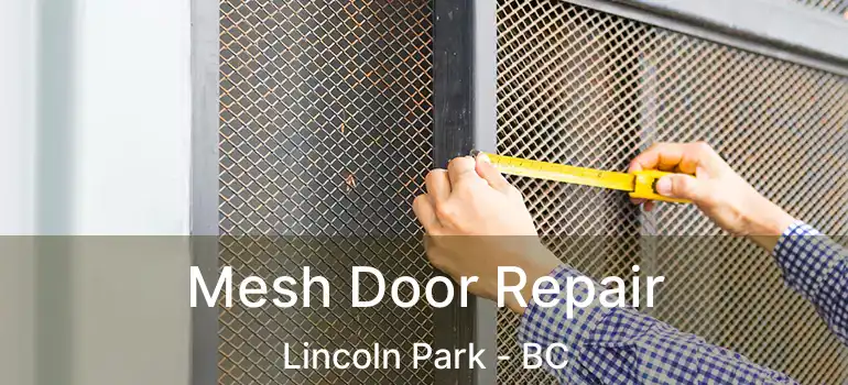  Mesh Door Repair Lincoln Park - BC