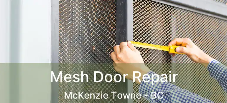  Mesh Door Repair McKenzie Towne - BC