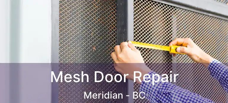  Mesh Door Repair Meridian - BC
