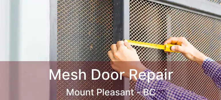  Mesh Door Repair Mount Pleasant - BC