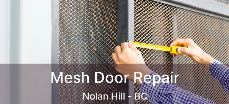  Mesh Door Repair Nolan Hill - BC