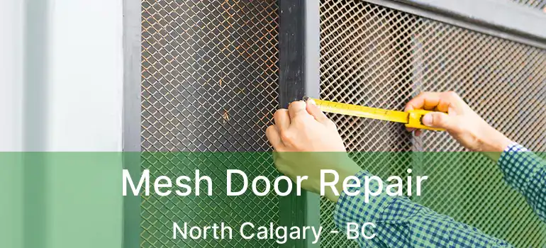  Mesh Door Repair North Calgary - BC