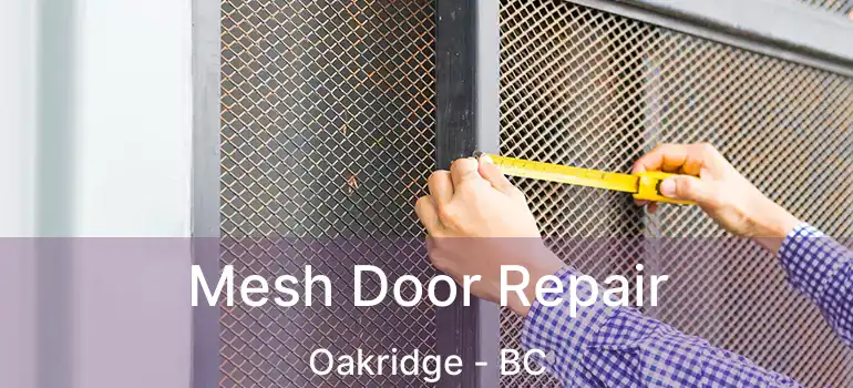  Mesh Door Repair Oakridge - BC