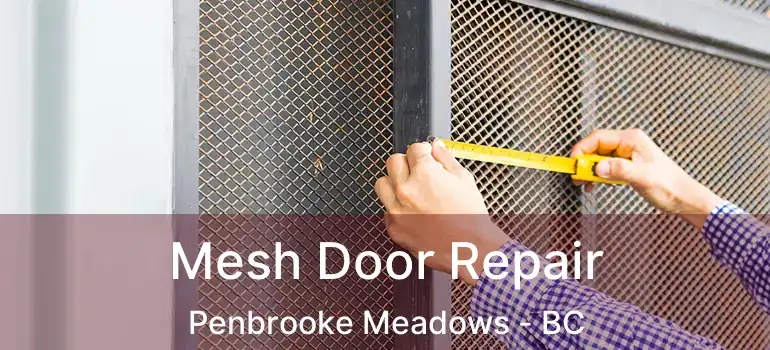  Mesh Door Repair Penbrooke Meadows - BC