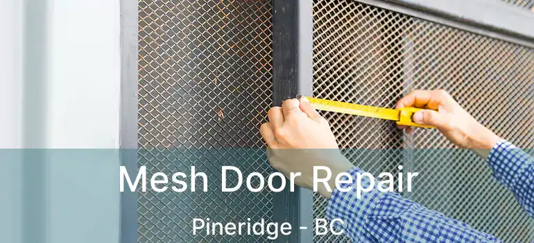  Mesh Door Repair Pineridge - BC