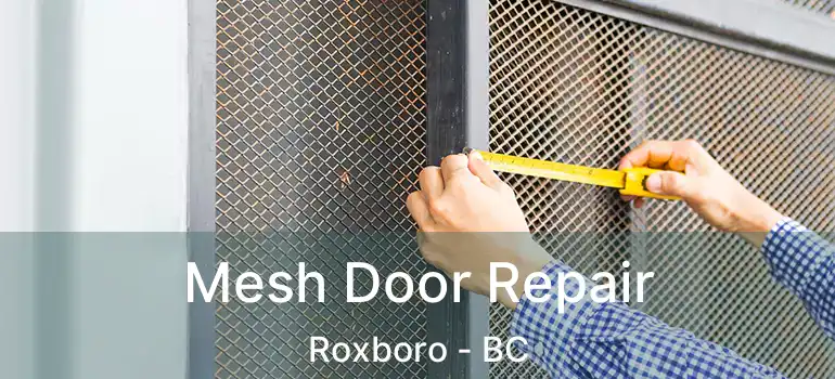  Mesh Door Repair Roxboro - BC