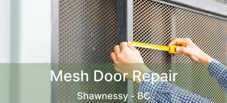  Mesh Door Repair Shawnessy - BC