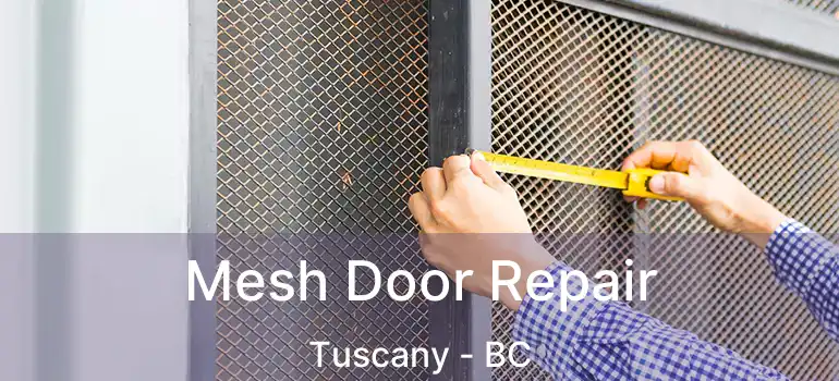  Mesh Door Repair Tuscany - BC