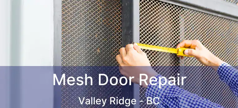  Mesh Door Repair Valley Ridge - BC