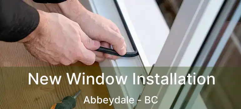  New Window Installation Abbeydale - BC