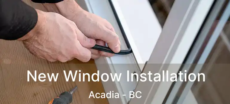  New Window Installation Acadia - BC