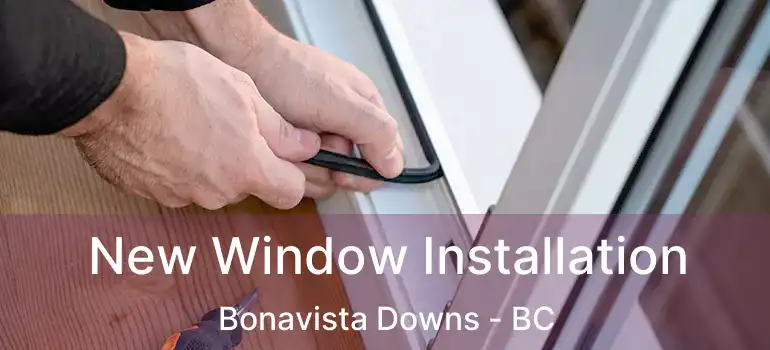  New Window Installation Bonavista Downs - BC