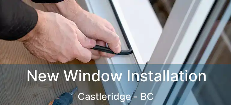  New Window Installation Castleridge - BC
