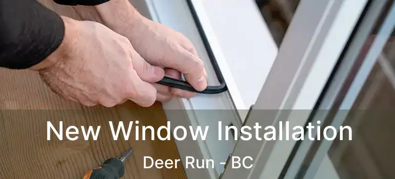  New Window Installation Deer Run - BC