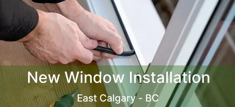  New Window Installation East Calgary - BC