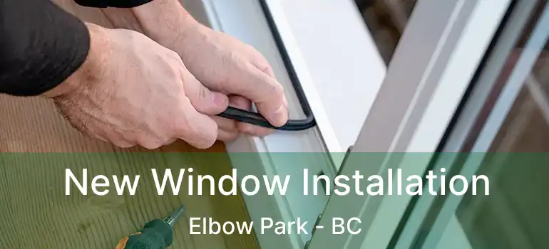  New Window Installation Elbow Park - BC
