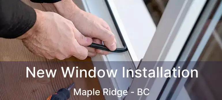  New Window Installation Maple Ridge - BC