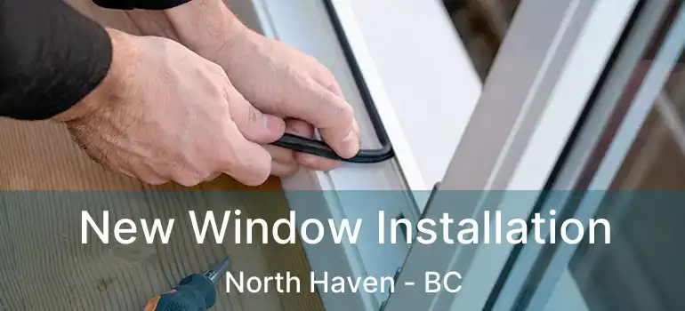  New Window Installation North Haven - BC