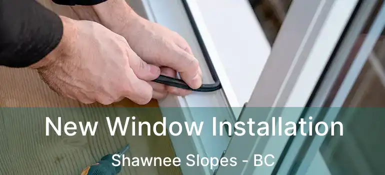  New Window Installation Shawnee Slopes - BC