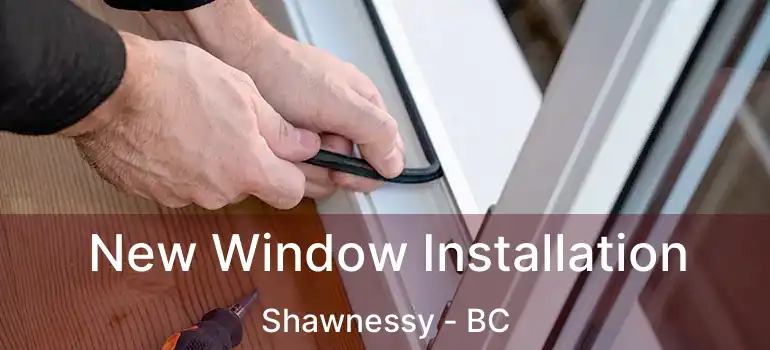  New Window Installation Shawnessy - BC