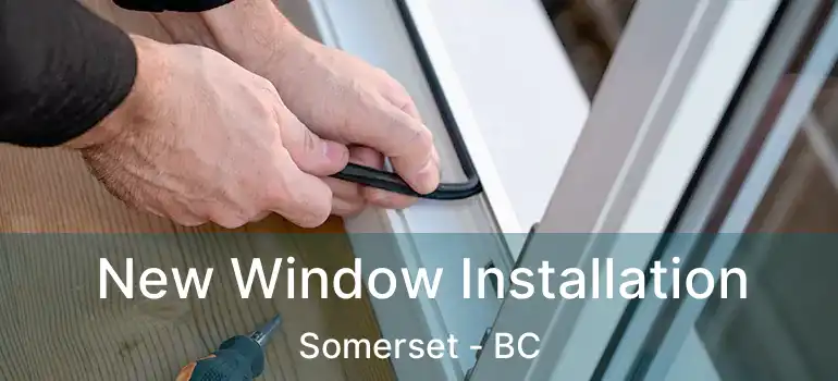  New Window Installation Somerset - BC