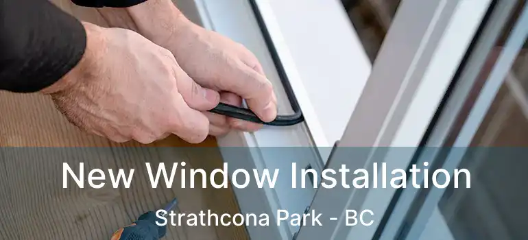  New Window Installation Strathcona Park - BC