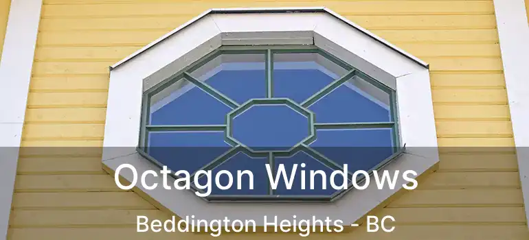  Octagon Windows Beddington Heights - BC