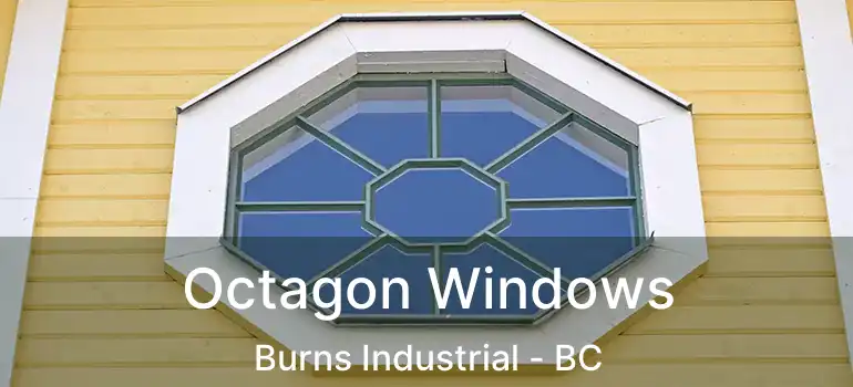  Octagon Windows Burns Industrial - BC