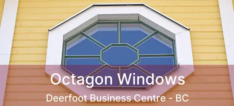  Octagon Windows Deerfoot Business Centre - BC