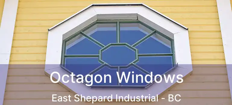  Octagon Windows East Shepard Industrial - BC