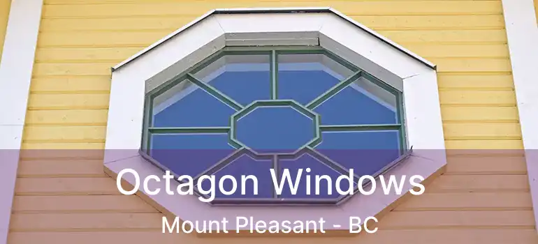  Octagon Windows Mount Pleasant - BC