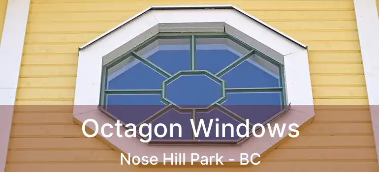  Octagon Windows Nose Hill Park - BC