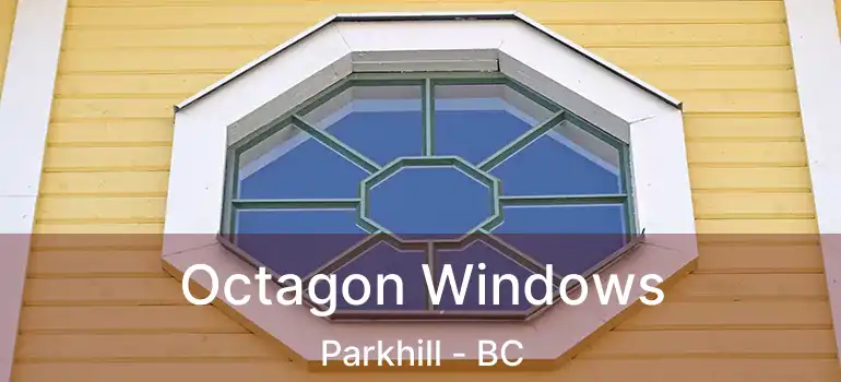  Octagon Windows Parkhill - BC