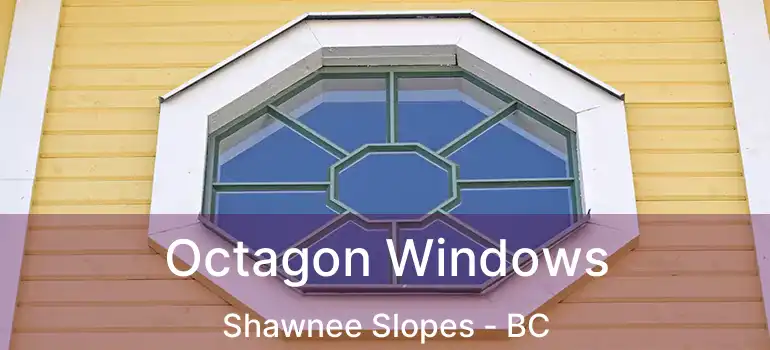  Octagon Windows Shawnee Slopes - BC