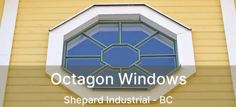 Octagon Windows Shepard Industrial - BC