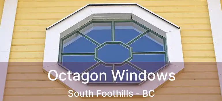  Octagon Windows South Foothills - BC